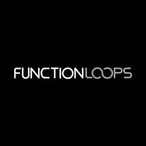 Function Loops