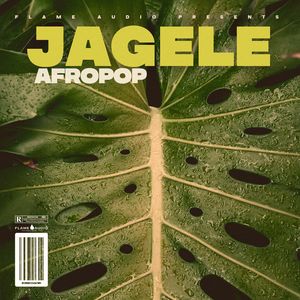 Download Sample pack JAGELE AFROPOP