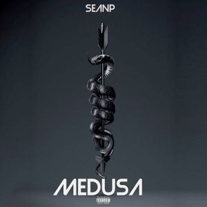 Download Sample pack Medusa Afro Melodies