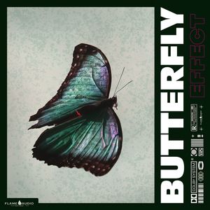Download Sample pack BUTTERFLY EFFECT: Trap and Drill Samples