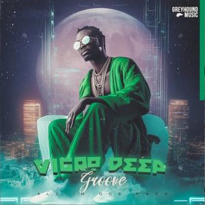 Download Sample pack Vigro Deep Groove (All-In-One Kits)