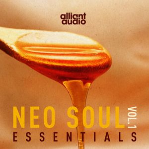 Download Sample pack Neo Soul Essentials Vol.1