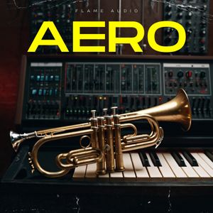Download Sample pack AERO: Melodies in Motion