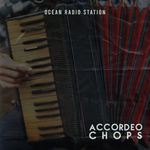 Download Sample pack Accordeo Chops