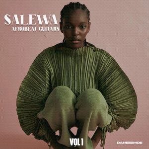 Download Sample pack SALEWA Afrobeat Guitars