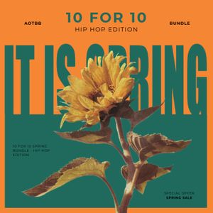 Download Sample pack 10 FOR 10 SPRING BUNDLE - Hip Hop Edition