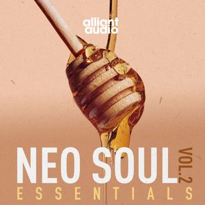 Download Sample pack Neo Soul Essentials Vol.2