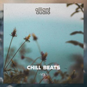 Download Sample pack Chill Beats Vol.1