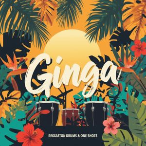 Download Sample pack Ginga - Reggaeton Drums & One Shots