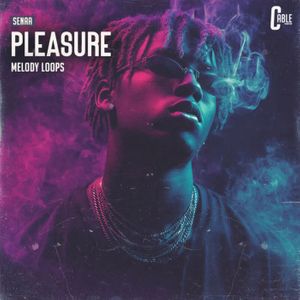 Download Sample pack PLEASURE – Melody Samples