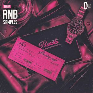 Download Sample pack Senaa: R&B Samples