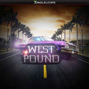 Download Sample pack West Pound