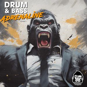 Download Sample pack Drum and Bass Adrenaline Vol 1