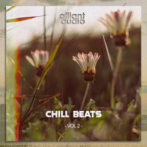 Download Sample pack Chill Beats Vol.2