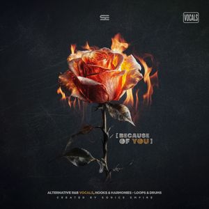 Download Sample pack Because of You: Vocals