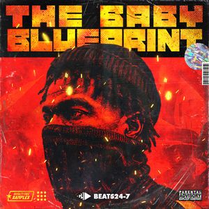 Download Sample pack The Baby Blueprint