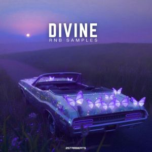 Download Sample pack Divine - RNB Samples