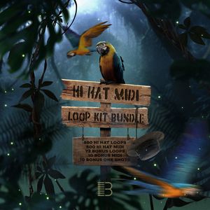 Download Sample pack The Hi Hat MIDI Loop Kit Bundle