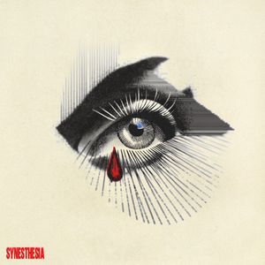 Download Sample pack Synesthesia Analog Lab Bank