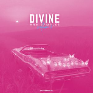 Download Sample pack Divine Vol 2 - RnB Samples