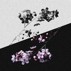 Download Sample pack Gloomy Vibes Vol.7