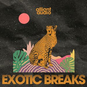 Download Sample pack Exotic Breaks