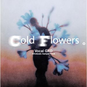 Download Sample pack Cold Flowers: Afrobeats Sample Pack