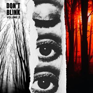 Download Sample pack DON'T BLINK Vol.2