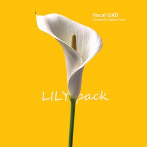 Download Sample pack LILY: Afrobeats Sample Pack