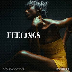 Download Sample pack FEELINGS Afrosoul Guitar Melodies