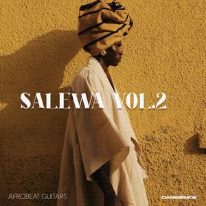 Download Sample pack SALEWA Afrobeat Guitars vol. 2