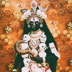 Download Sample pack Rite Of Passage