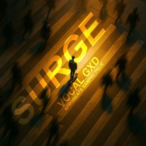 Download Sample pack Surge: Afrobeats Sample Pack