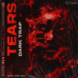 Download Sample pack TEARS - Dark Trap Beats