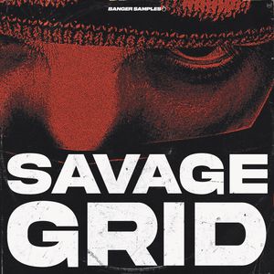 Download Sample pack Savage Grid