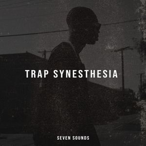 Download Sample pack Trap Synesthesia