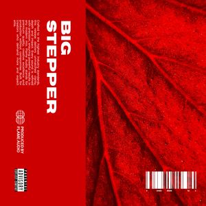 Download Sample pack Big Stepper: Exclusive Piano Collection