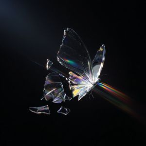 Download Sample pack Never Back Pt.2