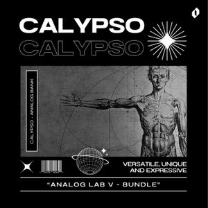 Download Sample pack CALYPSO - BUNDLE PRESETS ANALOG LAB V BANK