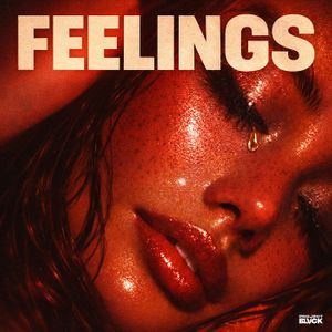 Download Sample pack Feelings - Loops & Midi