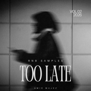 Download Sample pack Too Late Vol. 2 - RnB Samples