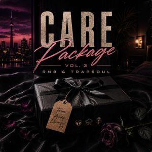 Download Sample pack Care Package Vol. 3 - RnB & Trapsoul