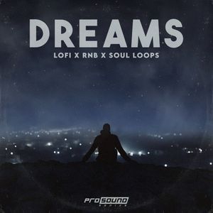 Download Sample pack Dreams RnB x Lofi x Soul Songstarters