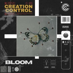 Download Sample pack Bloom Sample Pack