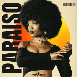 Download Sample pack PARAISO: Afropop Signature