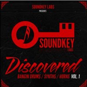 Download Sample pack Discovered Vol. 1