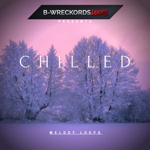 Download Sample pack Chillin' Boom Trap