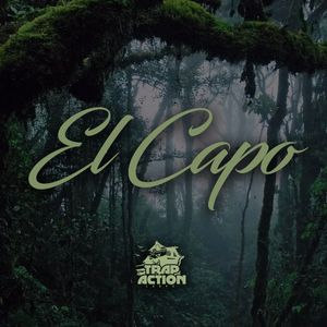 Download Sample pack El Chapo