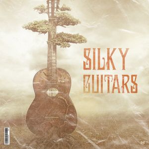 Download Sample pack Silky Guitars