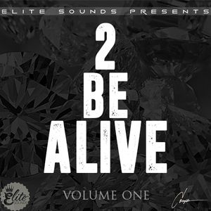 Download Sample pack 2 Be Alive Vol.1
